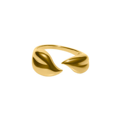 evig kram ring
